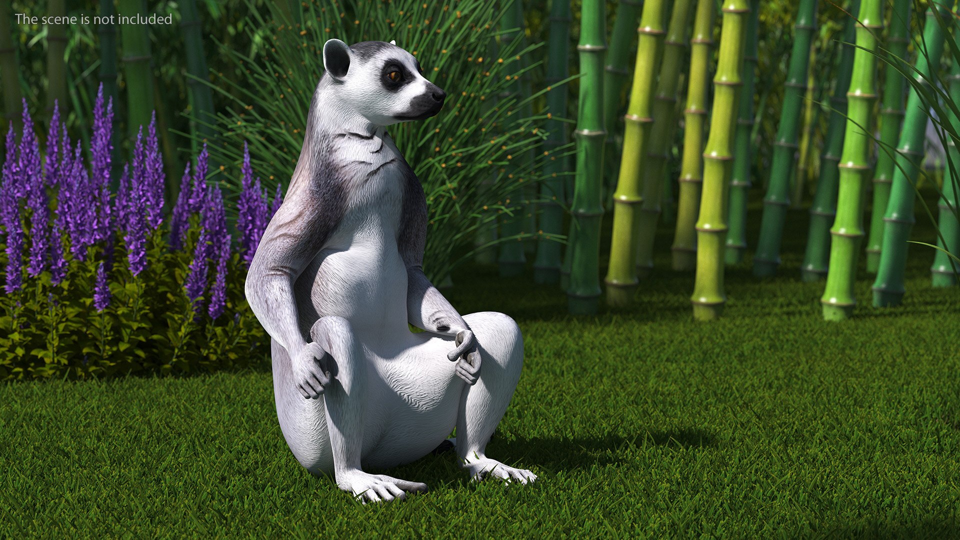 3D model Lemur Rigged for Maya https://p.turbosquid.com/ts-thumb/Ed/23cC7w/1S/lemurriggedformaya3dmodel009/jpg/1711285121/1920x1080/fit_q87/89c6d1c52697fd5e8636e0887a547ef19dc224b5/lemurriggedformaya3dmodel009.jpg