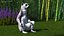 Lemur Rigged for Maya