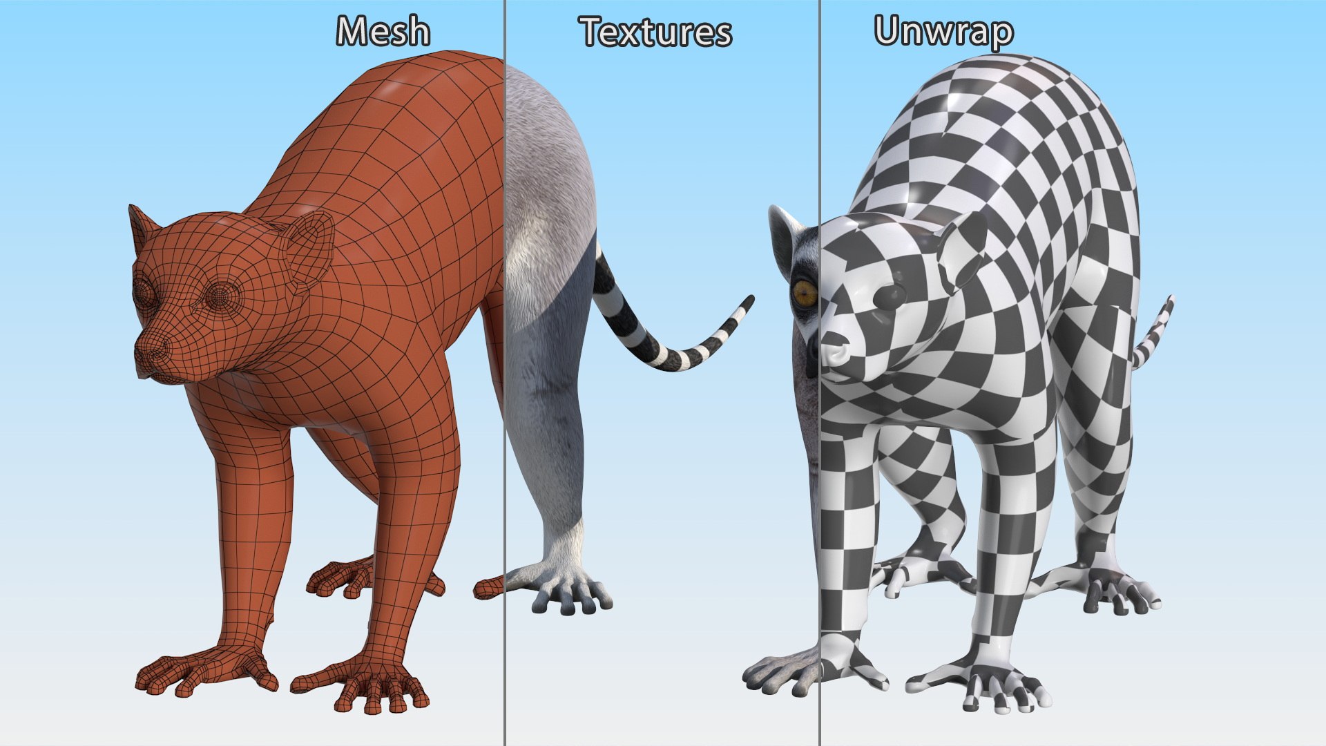 3D model Lemur Rigged for Maya https://p.turbosquid.com/ts-thumb/Ed/23cC7w/Ij/lemurriggedformaya3dmodel030/jpg/1711285226/1920x1080/fit_q87/3b3109e5e86c014288e020f5c8ba0fd4b1a6de7f/lemurriggedformaya3dmodel030.jpg