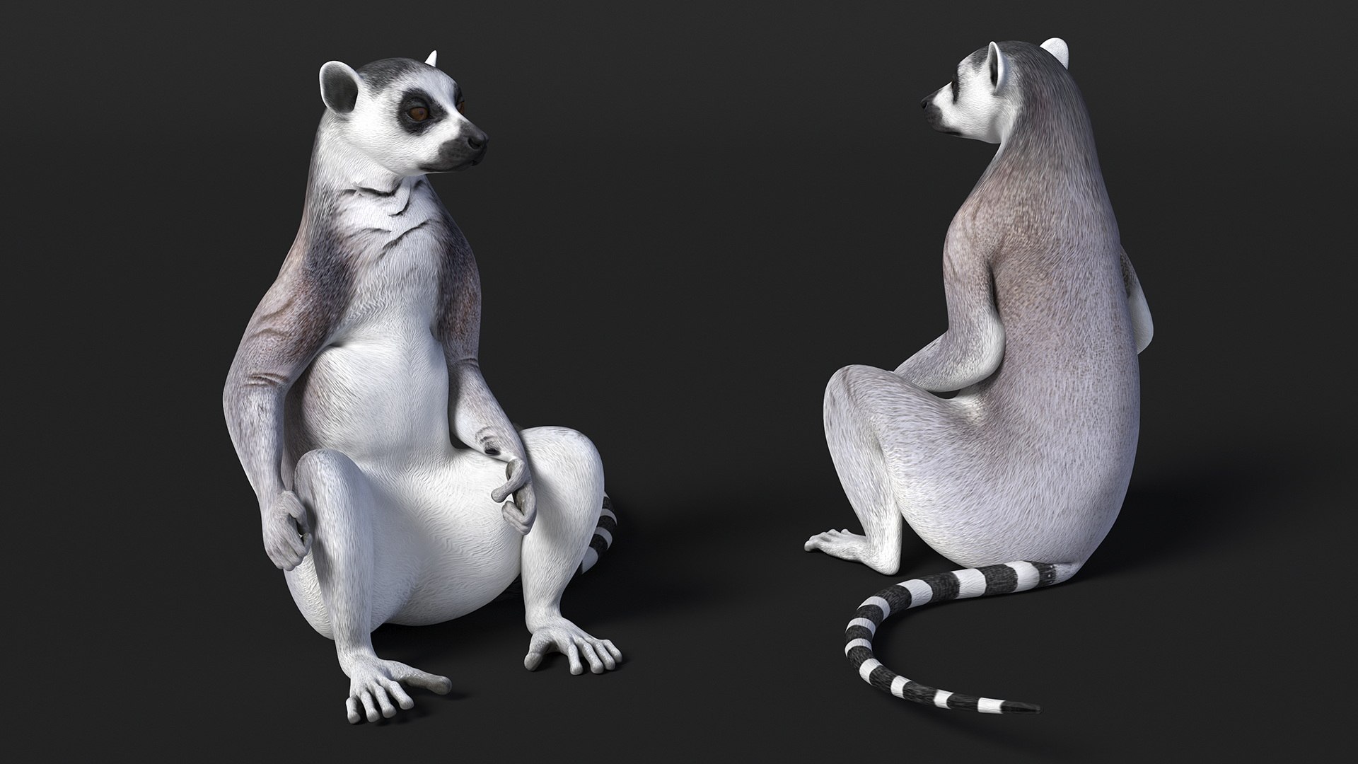 3D model Lemur Rigged for Maya https://p.turbosquid.com/ts-thumb/Ed/23cC7w/S8/lemurriggedformaya3dmodel016/jpg/1711285157/1920x1080/fit_q87/5d680306430a473e36e6a3becfc1e1a05670ee8c/lemurriggedformaya3dmodel016.jpg
