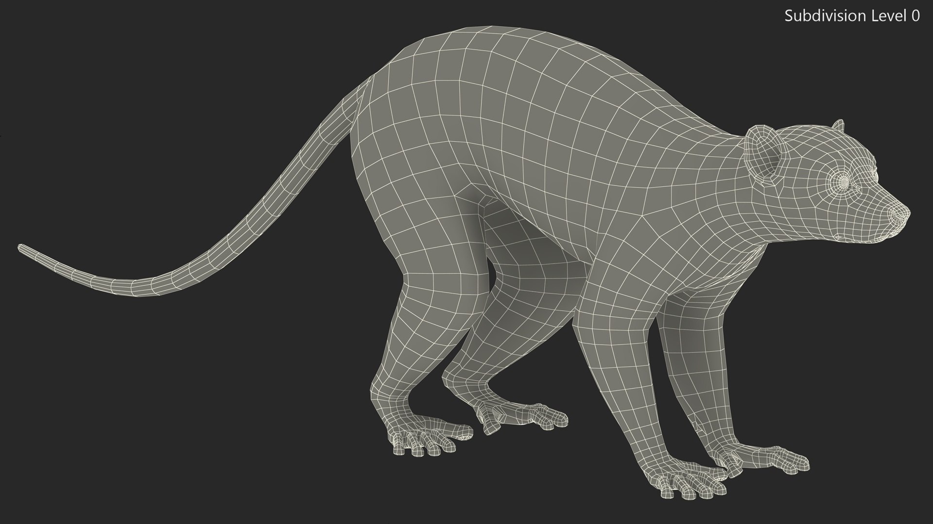 3D model Lemur Rigged for Maya https://p.turbosquid.com/ts-thumb/Ed/23cC7w/X3/lemurriggedformaya3dmodel031/jpg/1711285233/1920x1080/fit_q87/255eb310c42bbf05acc11ba04ecffb13c34684c7/lemurriggedformaya3dmodel031.jpg