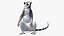 Lemur Rigged for Maya