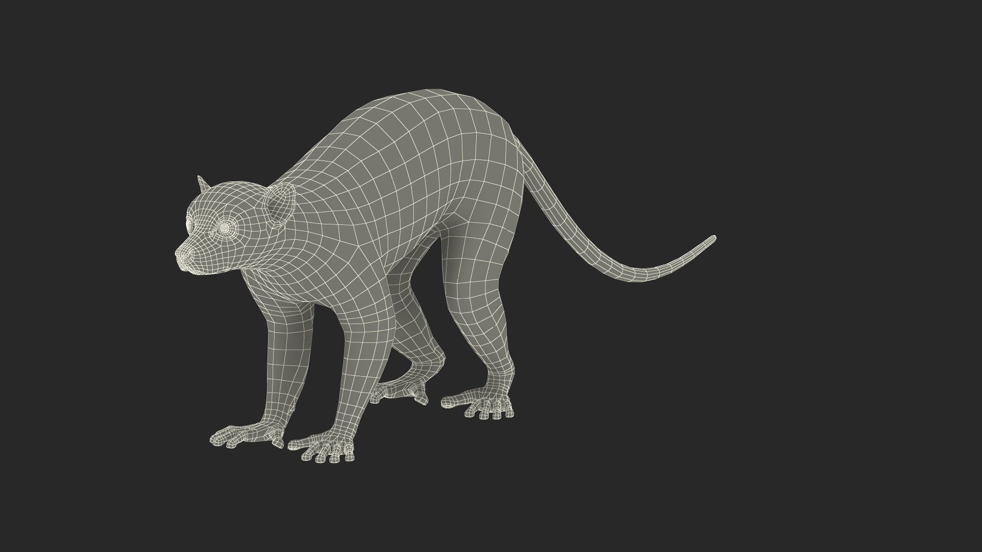 3D model Lemur Rigged for Maya https://p.turbosquid.com/ts-thumb/Ed/23cC7w/b3/lemur_rigged_for_maya_361/jpg/1711284548/1920x1080/turn_fit_q99/509d6f311a08eb09a5cceb0874f35955a7309182/lemur_rigged_for_maya_361-1.jpg