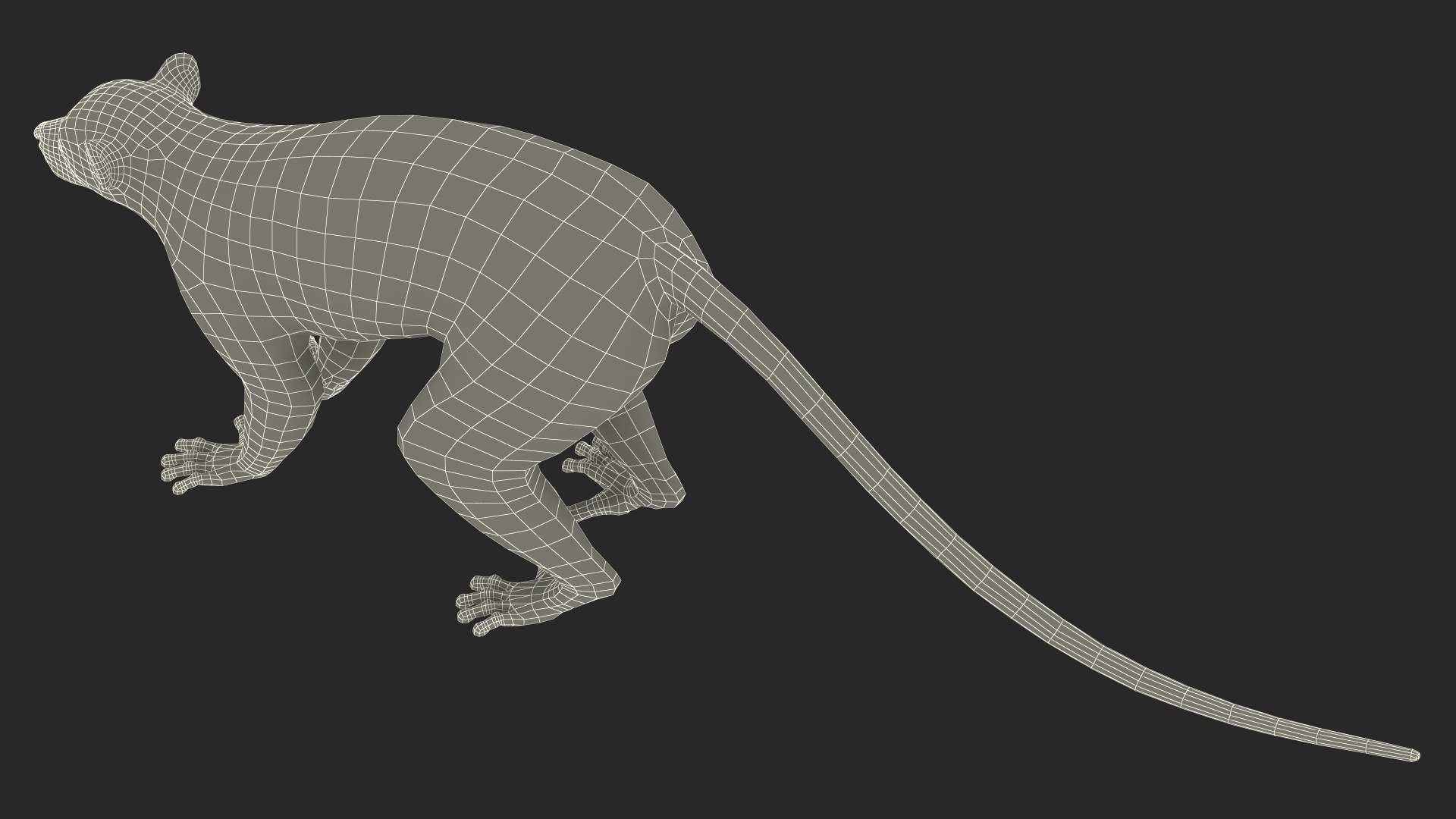 3D model Lemur Rigged for Maya https://p.turbosquid.com/ts-thumb/Ed/23cC7w/el/lemurriggedformaya3dmodel038/jpg/1711285272/1920x1080/fit_q87/4733151c44f9cf6782f1ea46a2c325208f0ddfb8/lemurriggedformaya3dmodel038.jpg