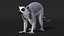 Lemur Rigged for Maya