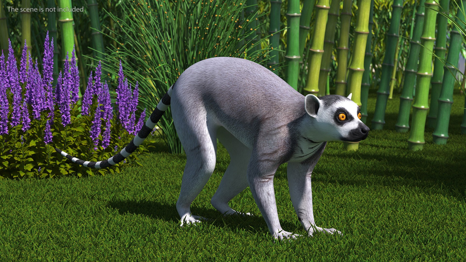 3D model Lemur Rigged for Maya https://p.turbosquid.com/ts-thumb/Ed/23cC7w/o0/lemurriggedformaya3dmodel007/jpg/1711285112/1920x1080/fit_q87/2606ef5f304a9d22cd42cf202e5d5f699b7b4bdc/lemurriggedformaya3dmodel007.jpg