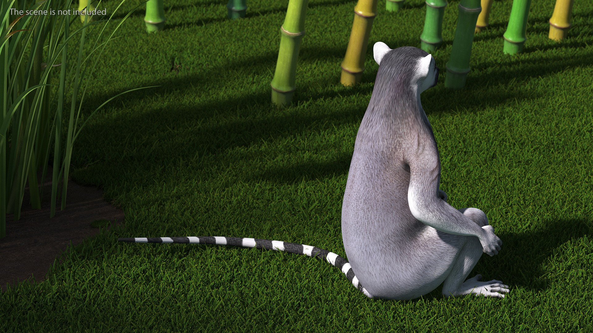 3D model Lemur Rigged for Maya https://p.turbosquid.com/ts-thumb/Ed/23cC7w/xg/lemurriggedformaya3dmodel010/jpg/1711285126/1920x1080/fit_q87/3d250bf127bfca5bbf1e7e94a6761eb644091700/lemurriggedformaya3dmodel010.jpg