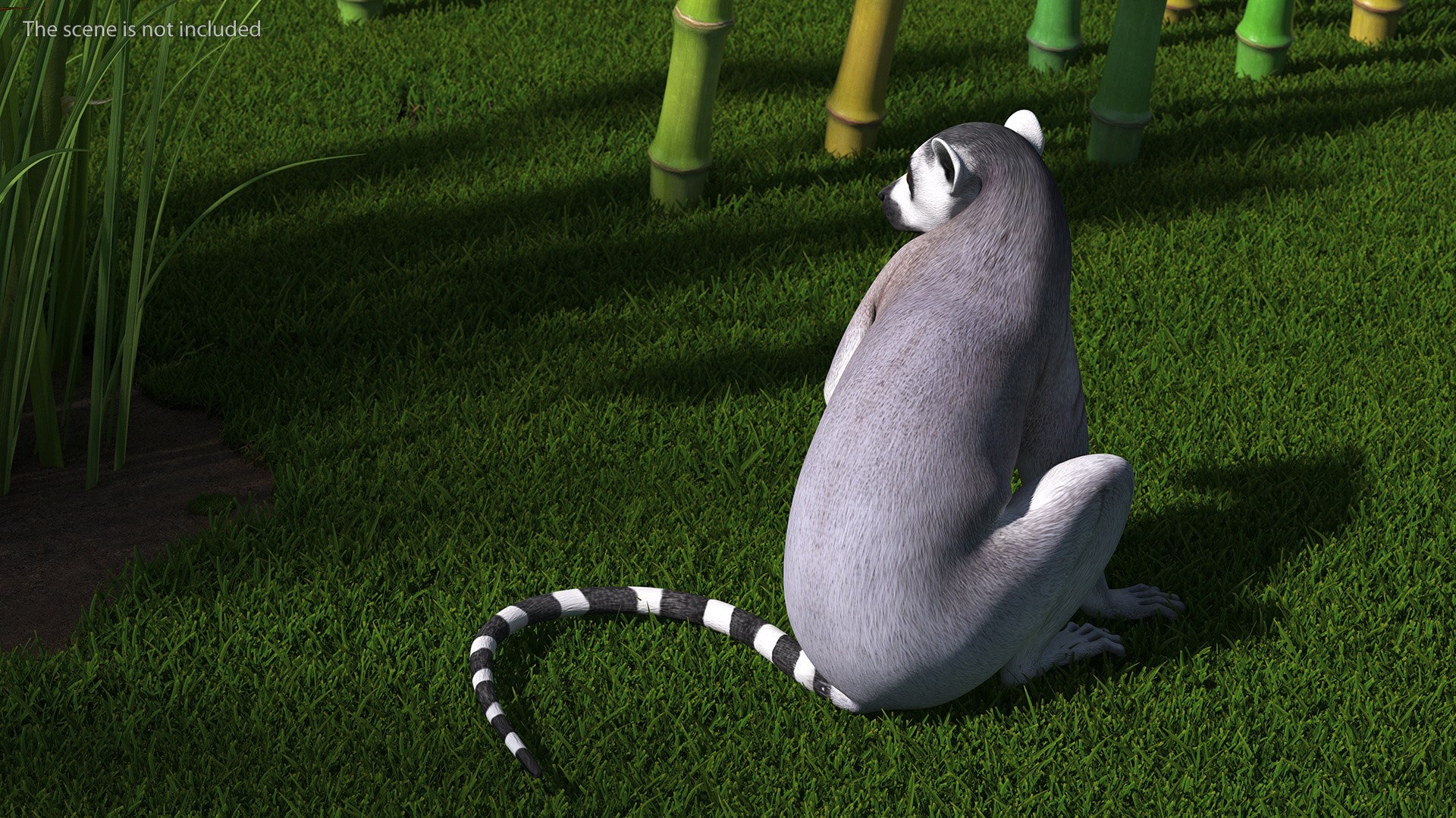 3D model Lemur Rigged for Maya https://p.turbosquid.com/ts-thumb/Ed/23cC7w/yg/lemurriggedformaya3dmodel012/jpg/1711285136/1920x1080/fit_q87/85fb81e3ca623e4764d8c23f87dc00faa3889b3f/lemurriggedformaya3dmodel012.jpg
