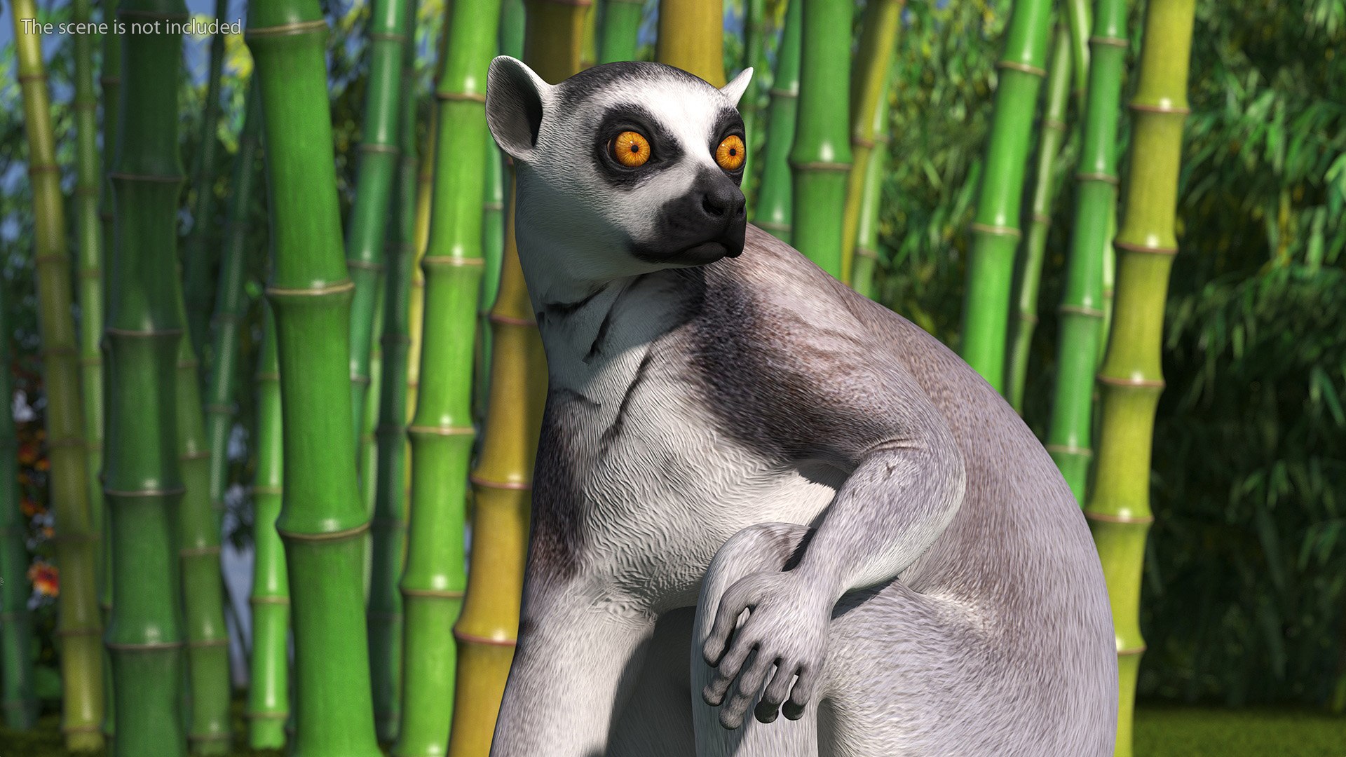 3D model Lemur Rigged for Maya https://p.turbosquid.com/ts-thumb/Ed/23cC7w/zv/lemurriggedformaya3dmodel015/jpg/1711285152/1920x1080/fit_q87/e1f6e893f57336554dc8fd6579a69c323c80fabb/lemurriggedformaya3dmodel015.jpg
