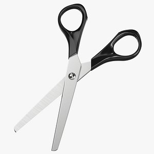 Scissors 02