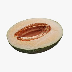 Anydrafts Cucumis melo hami 02 model