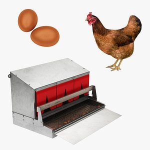 3D Nest Box Chicken and Egg Collection