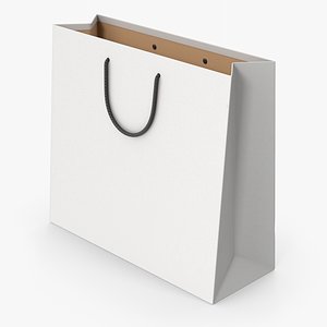 Paper Shopping Bag