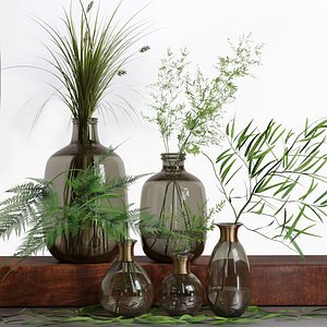 Bouquet of Grass Herb Plant Glass Vases Set 3D model