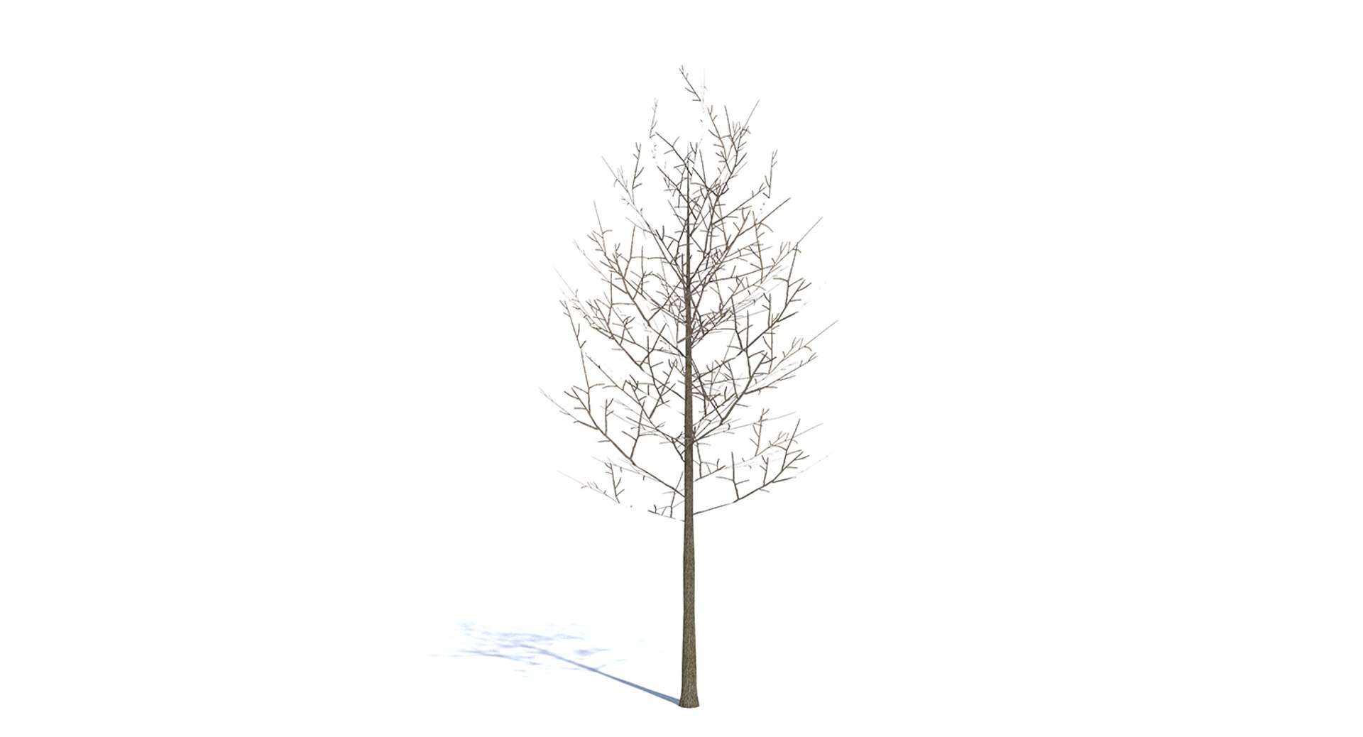 small tree 3d model https://p.turbosquid.com/ts-thumb/Ed/ai279O/cZFWhl4N/thumbnail_winter/png/1442248158/1920x1080/fit_q87/d45ee7b1c20b0e0f91729ac2d3828dd2156f2f87/thumbnail_winter.jpg