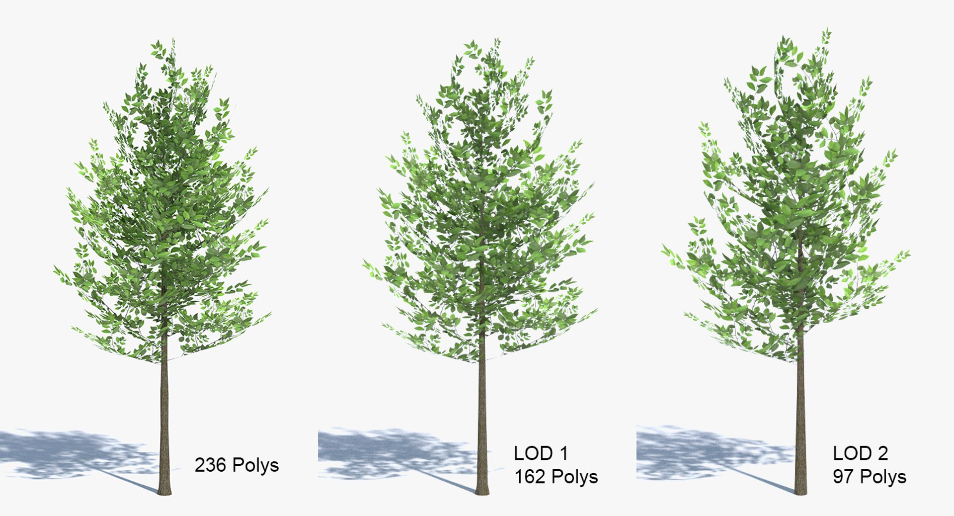 small tree 3d model https://p.turbosquid.com/ts-thumb/Ed/ai279O/tksjKJx8/polys/png/1442248157/1920x1080/fit_q87/7299d73e40434b377b61a4b19d02f9992f04da46/polys.jpg