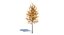 Low Poly Small Tree