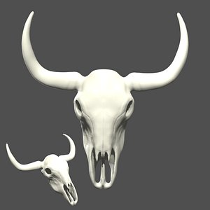 3D Cow bull longhorn Skull model
