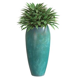 3D Agave plant in tall modern pot