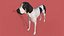 Cachorro com textura