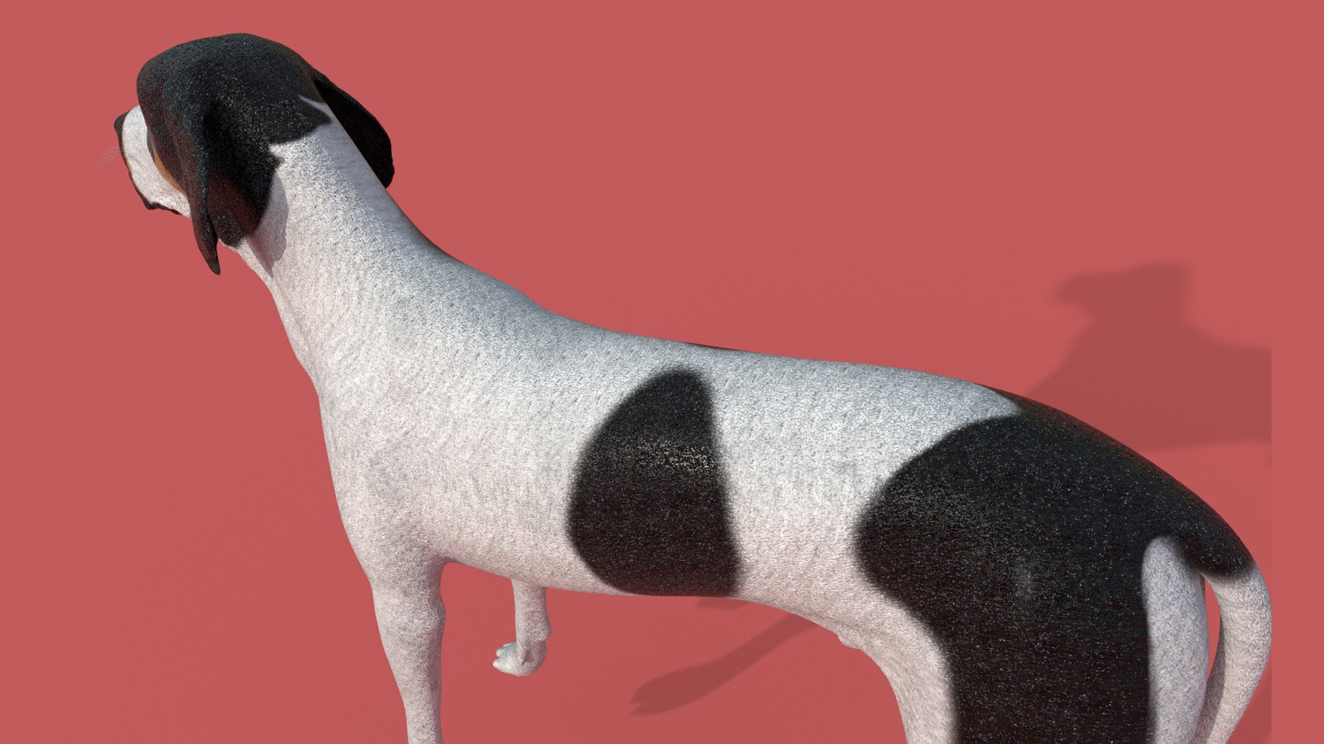 3D Model Dog With Texture - TurboSquid 1748421