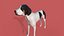 Cachorro com textura