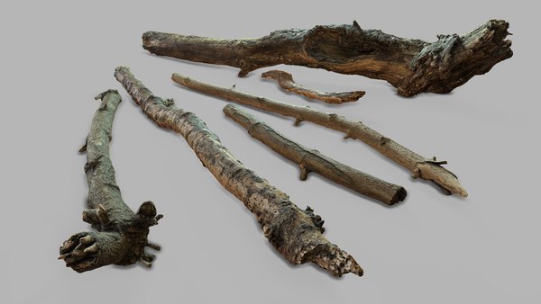 3D photogrammetry sticks model