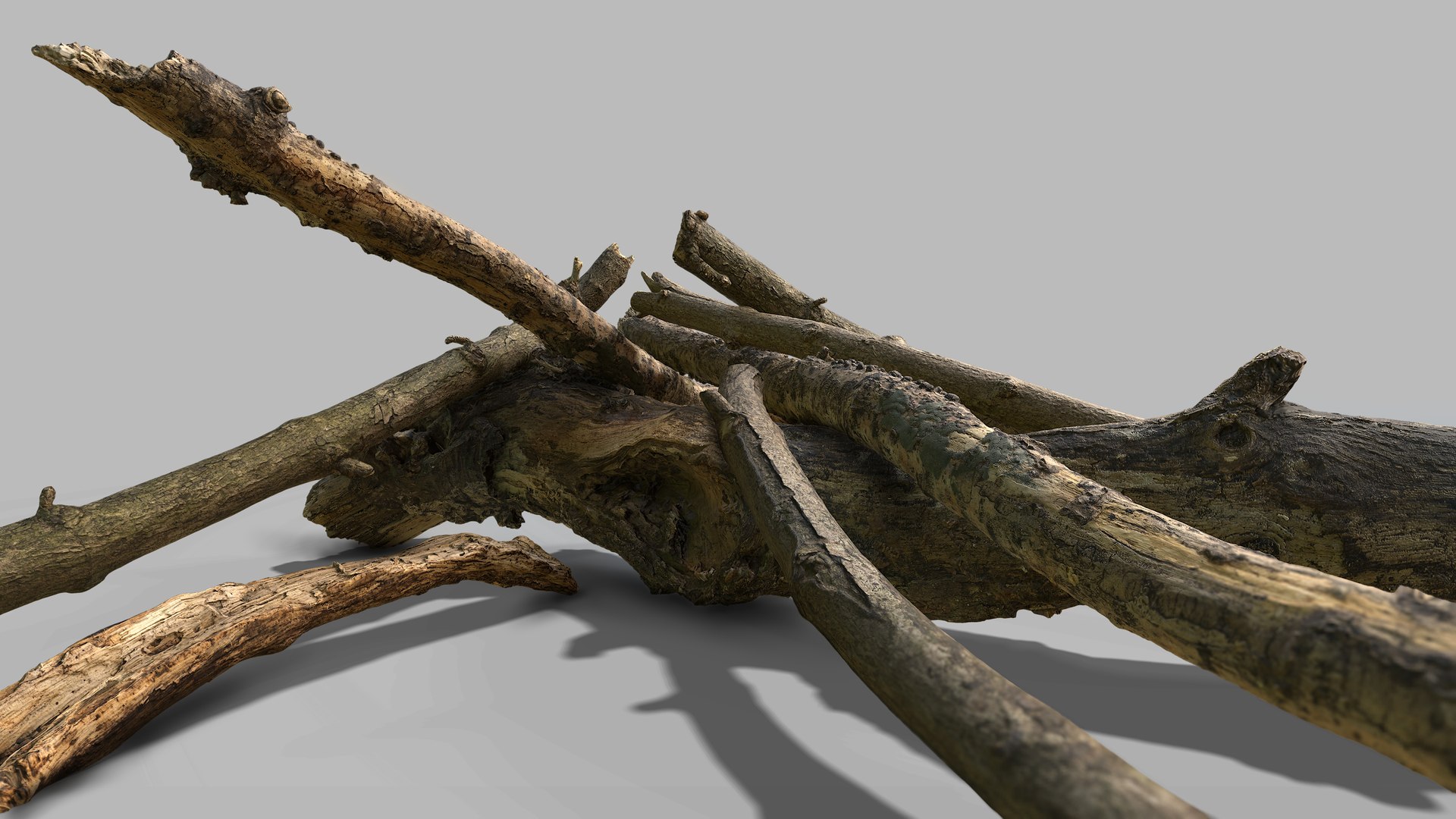 3D photogrammetry sticks model https://p.turbosquid.com/ts-thumb/Ee/6UDfpn/iSnG8gwU/stickrender_02/jpg/1584109067/1920x1080/fit_q87/4d72fb1d89ec51f98b63bbcb461f2dff1822441c/stickrender_02.jpg
