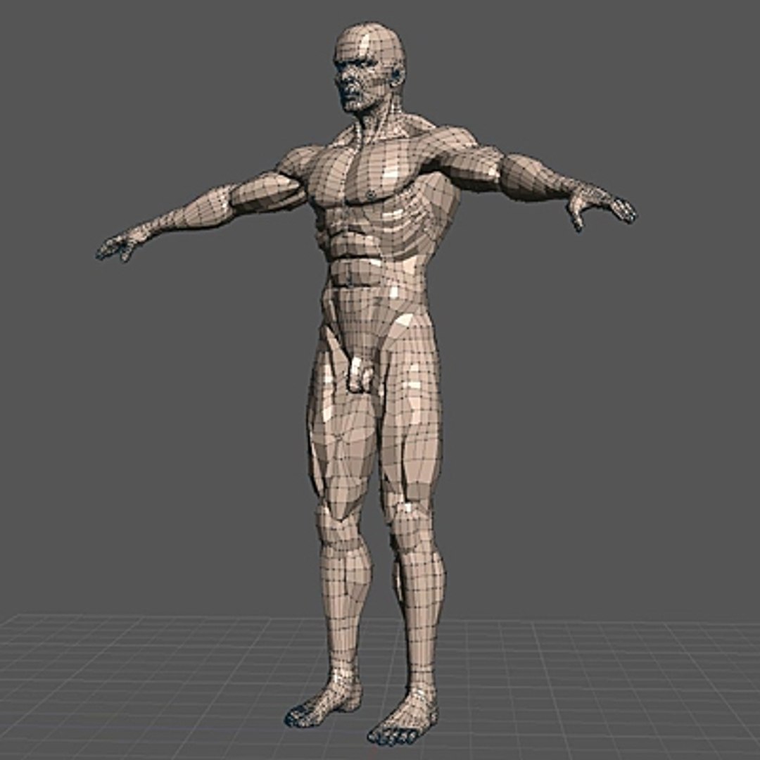 Man Rigging 3d Model