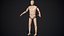 Crash Test Dummy Rigged Low Poly