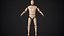 Crash Test Dummy Rigged Low Poly