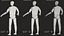 Crash Test Dummy Rigged Low Poly