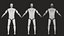 Crash Test Dummy Rigged Low Poly