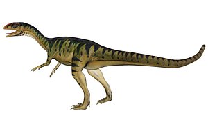 Thecodontosaurus Dinosaur Triassic Animal