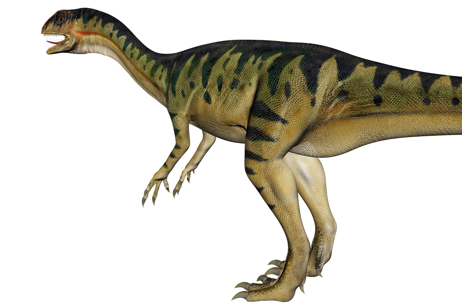 3D Model Thecodontosaurus Dinosaur Triassic Animal - TurboSquid 2330122