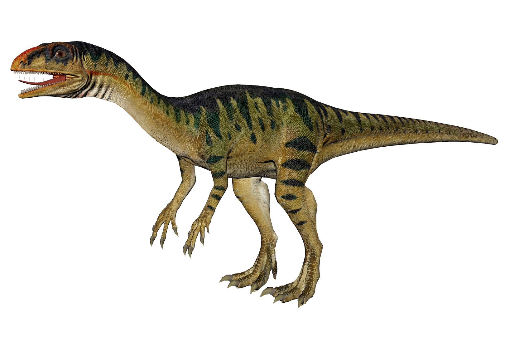 3D Model Thecodontosaurus Dinosaur Triassic Animal - TurboSquid 2330122
