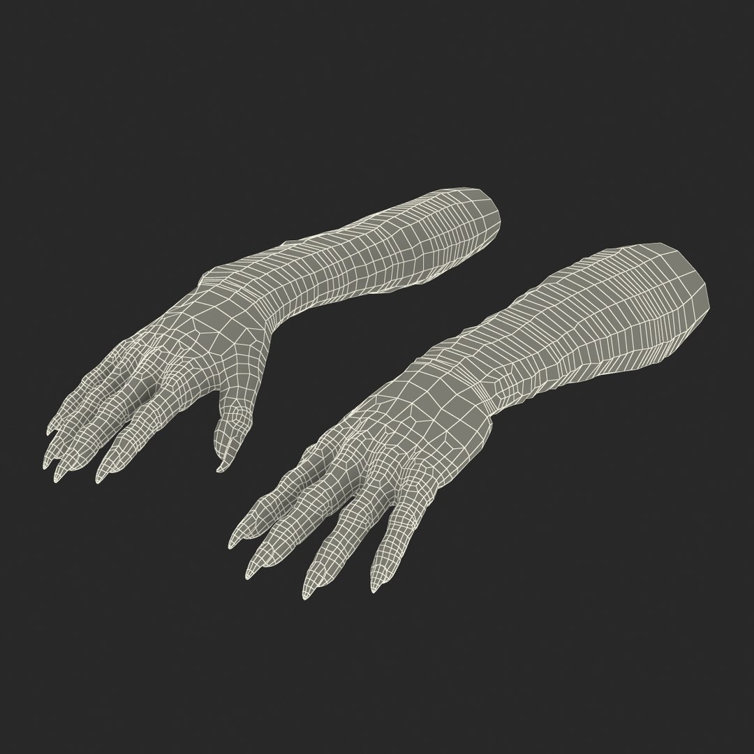 3d model green orc hands rigged https://p.turbosquid.com/ts-thumb/Ee/MC8ppc/qFWbIEZP/greengoblinhandsriggedcinema4d3dmodel43/jpg/1479498560/1920x1080/fit_q87/2645eee750a374a32e3f40a94e455c4626e7f18e/greengoblinhandsriggedcinema4d3dmodel43.jpg