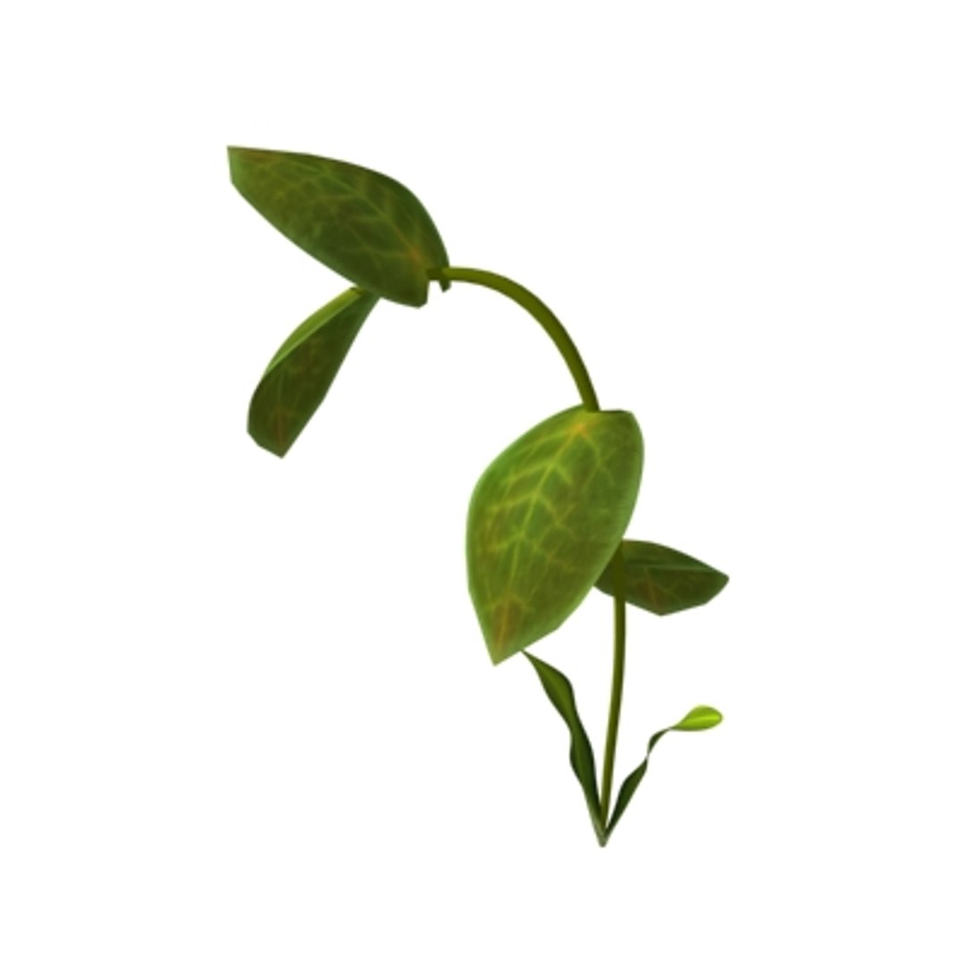 Props Nature 3d Model
