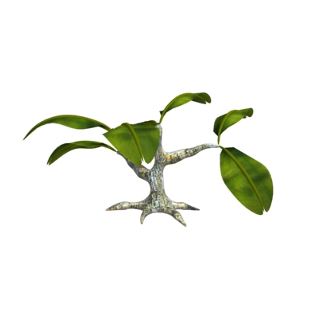 Props Nature 3d Model