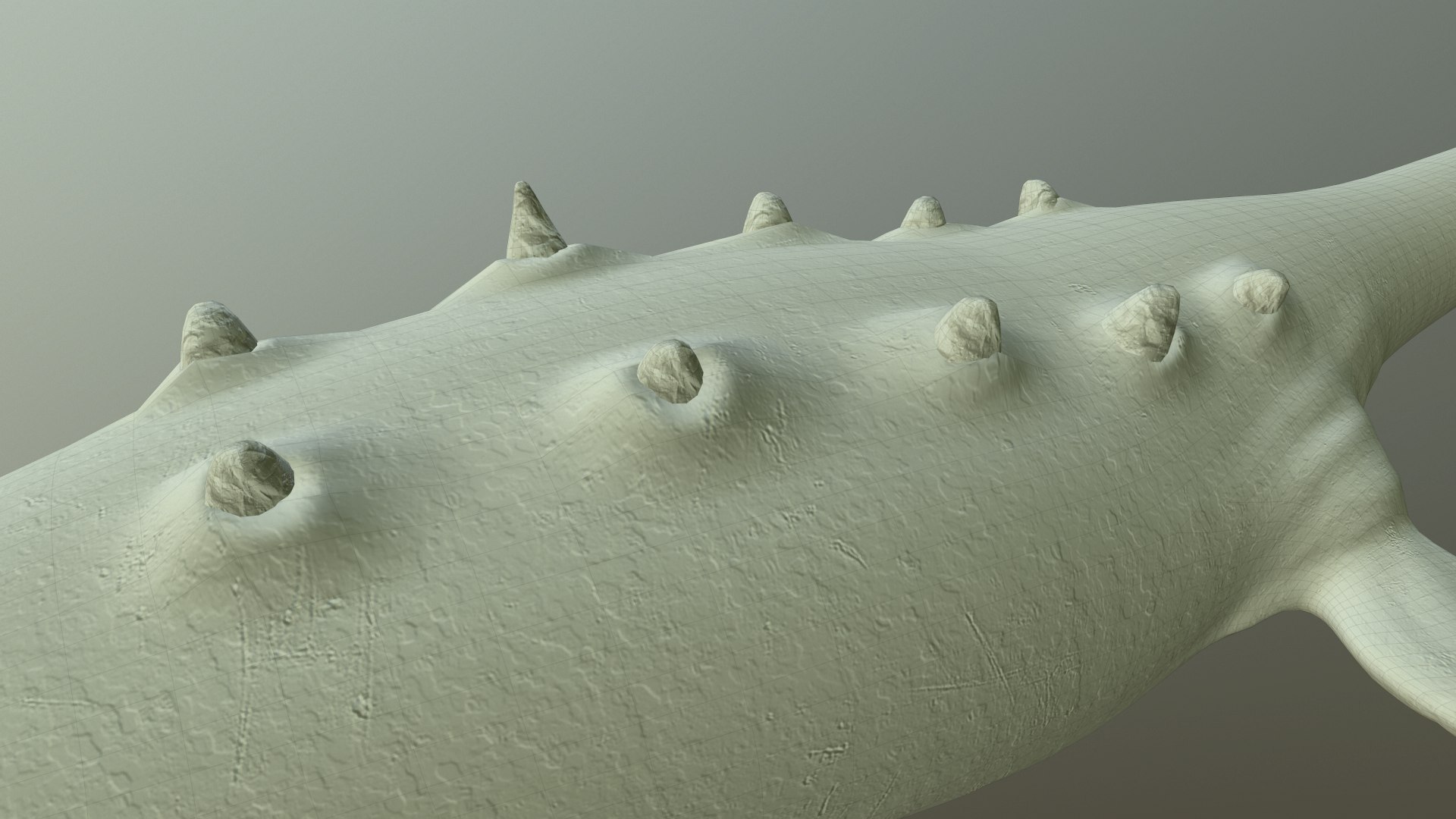 3d model elasmosaurus platyurus https://p.turbosquid.com/ts-thumb/Ee/sUdFSm/JBynCr6j/screenshot003/png/1490379286/1920x1080/fit_q87/5430244b47a1a5dff5f47490c017ef279340e7d6/screenshot003.jpg