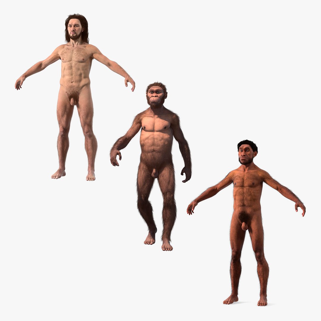 Rigged Cavemans Collection 3D model preview