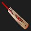Gray Nicolls Cricket Bat