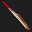 Gray Nicolls Cricket Bat