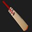 Gray Nicolls Cricket Bat