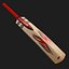Gray Nicolls Cricket Bat