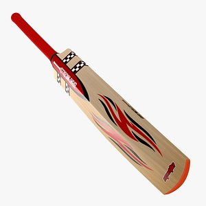 Gray Nicolls Cricket Bat