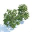 3D 2 Landscape Broadleaf Trees model
