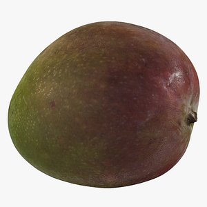 photorealistic mango 3d model