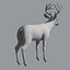 3d white tailed deer fur model