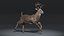 3d white tailed deer fur model